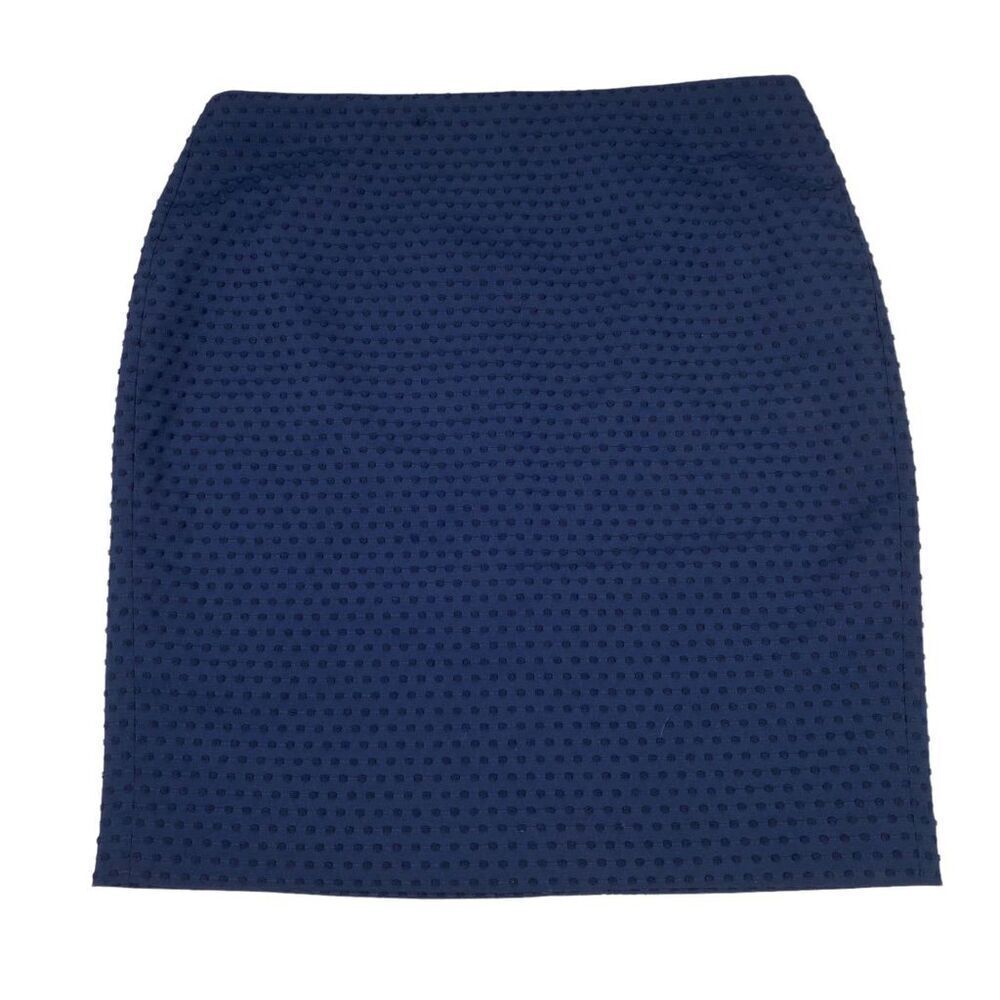 Banana Republic Navy Swiss Dot Style Skirt size 10P